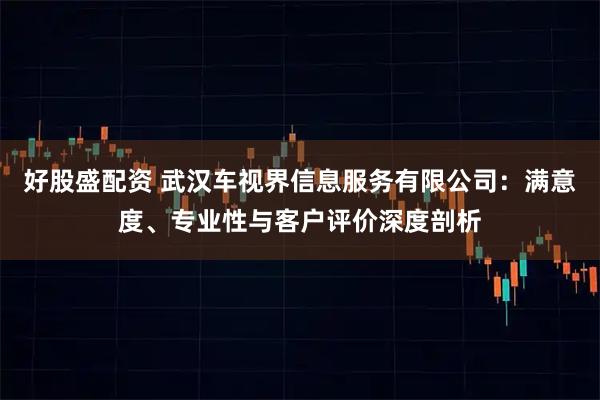 好股盛配资 武汉车视界信息服务有限公司：满意度、专业性与客户评价深度剖析