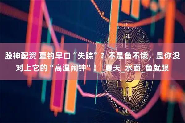 股神配资 夏钓早口“失踪”？不是鱼不饿，是你没对上它的“高温闹钟”！_夏天_水面_鱼就跟